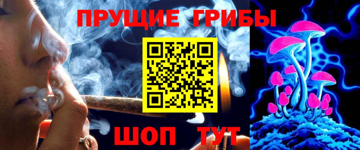 Галлюциногенные грибы Magic Shrooms  Вход с VPN  Лесосибирск  Галлюциногенные грибы Magic Shrooms 